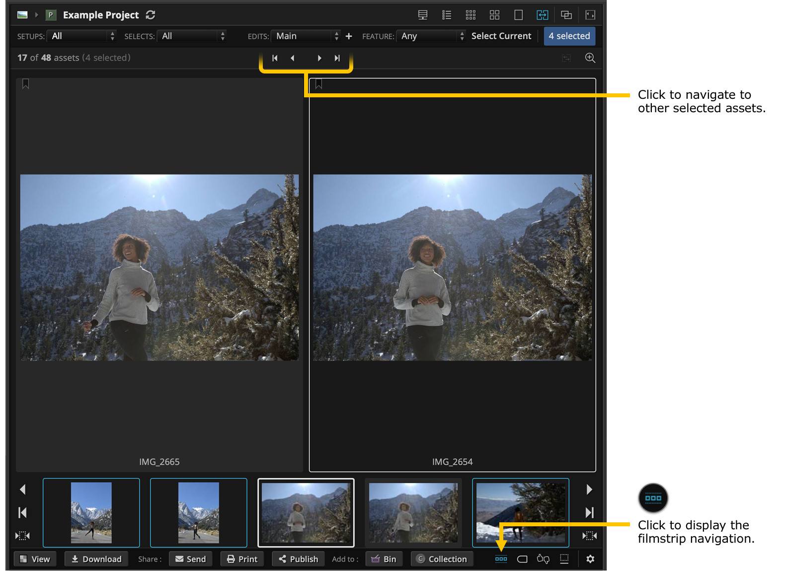 Navigate the DF Studio Interface – Knowledge Base
