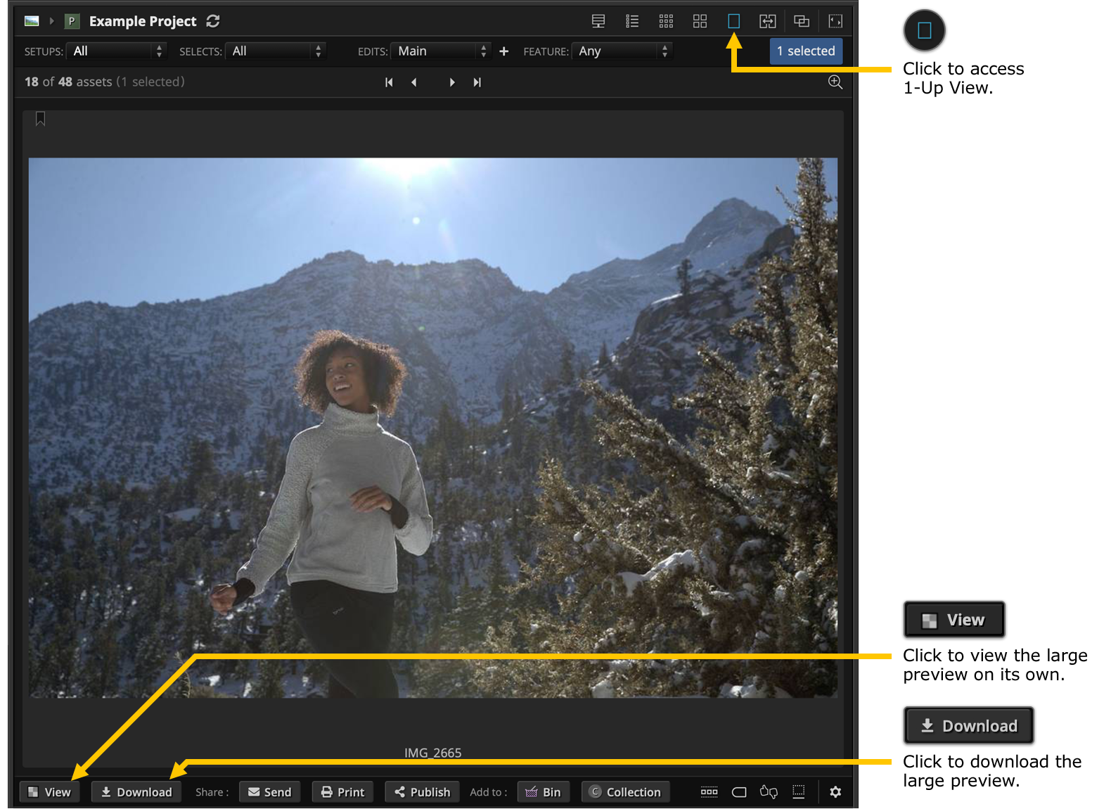 Navigate the DF Studio Interface – Knowledge Base